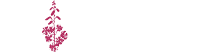 Logo Pokoje Gościnne Wierzbówka
